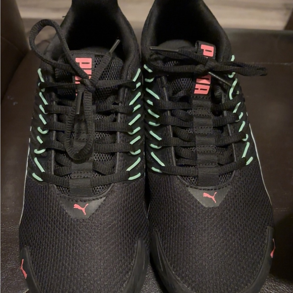 Pumas